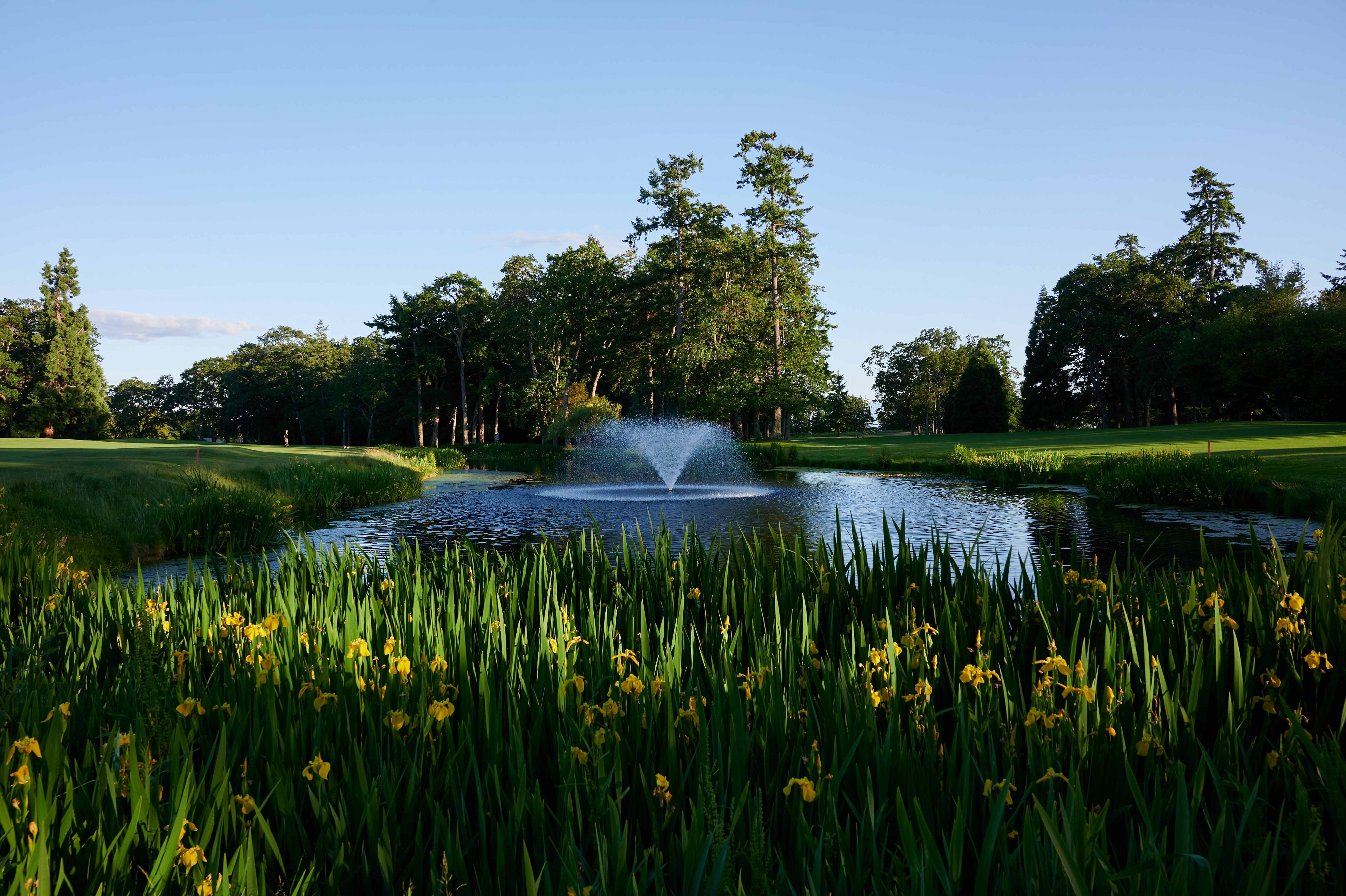 POND IN BETWEEN 14TH 15TH FAIRWAYS_2022